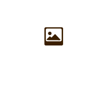 갤러리